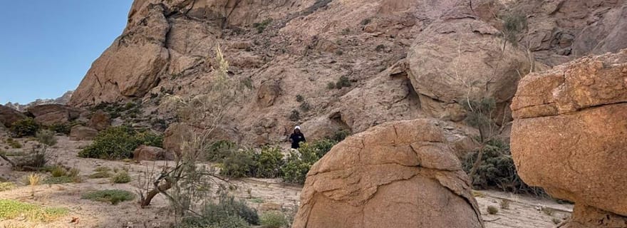 Visite de la Vallée de la Lune et de Welwitschia à partir de Swakopmund
