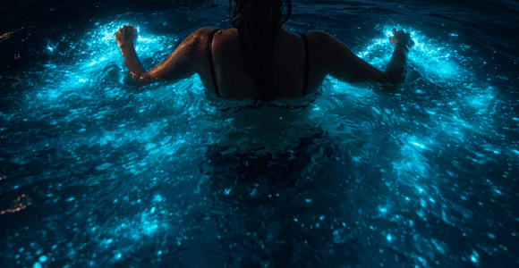 Bioluminescence & Sunset Boat Tour to Los Arcos Islands
