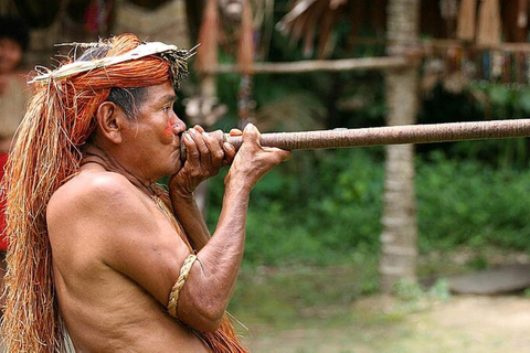 Iquitos || 2 jours en Amazonie, merveille naturelle du monde