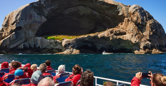 Melbourne: Wilsons Promontory Wilderness Cruise