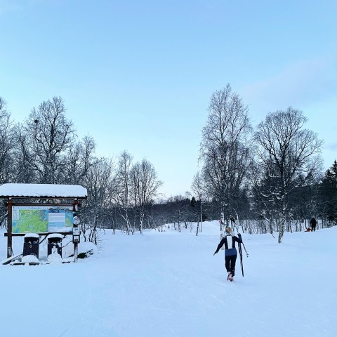 Visit Harstad Cross-Country Skiing Course - Beginner in Colmar