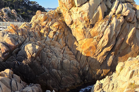 Ulsan: Bangudae Petroglyphs, Onggi Village & Park Tour