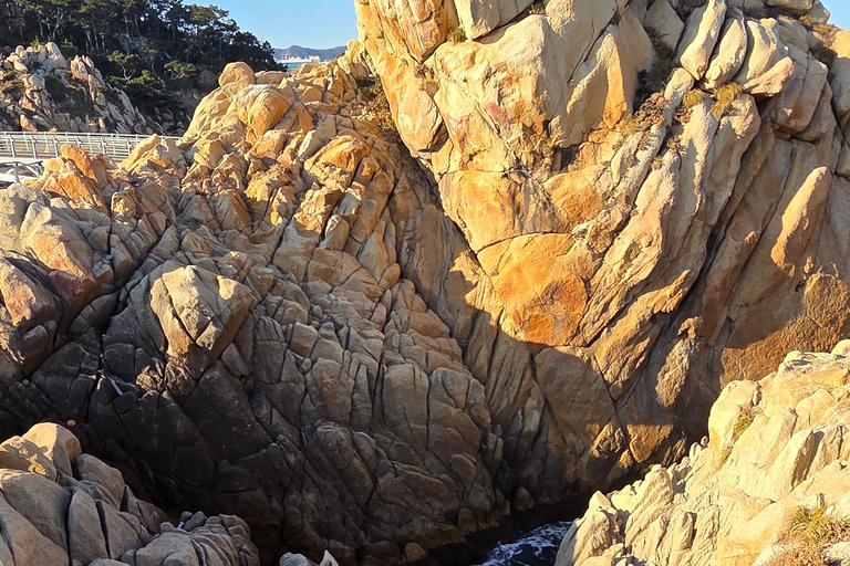 Ulsan: Bangudae Petroglyphs, Onggi Village & Park Tour