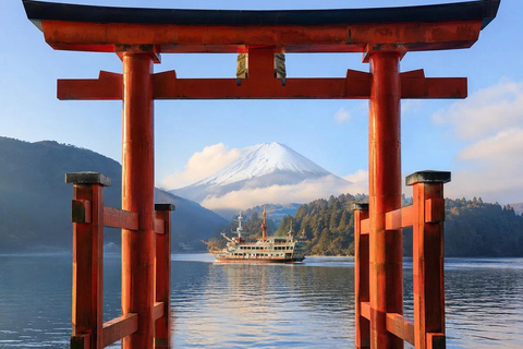 Tokyo: Hakone Private Luxury Day Tour with English Driver