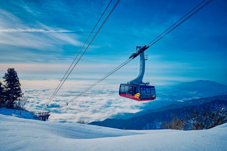 Depuis Osaka : Excursion d&#039;une journée à la station de ski de la vallée de Biwako