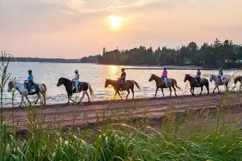 Brudenell: Passeio a cavalo para toda a família na praia