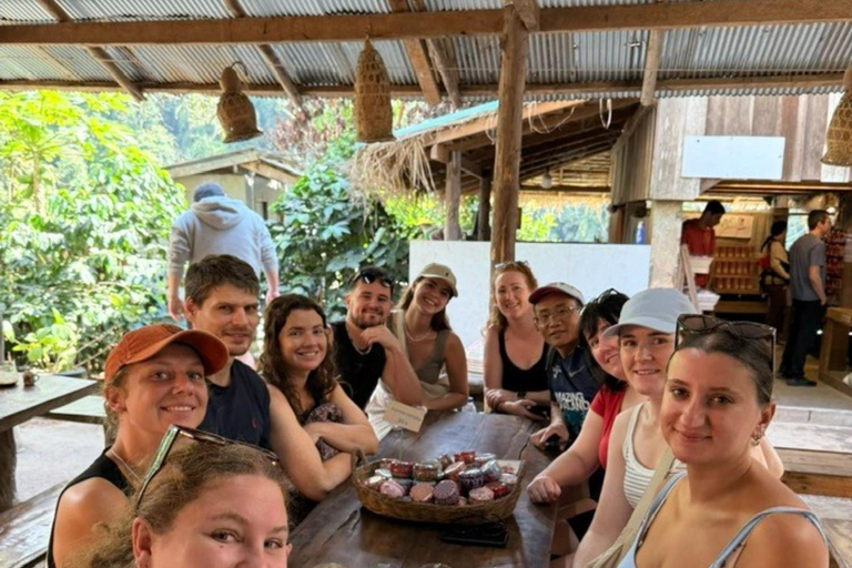 Chiang Mai: Doi Inthanon Summit & Kew Mae Pan Trail Hotel Pickup and Drop-Off (Within Pickup Area)