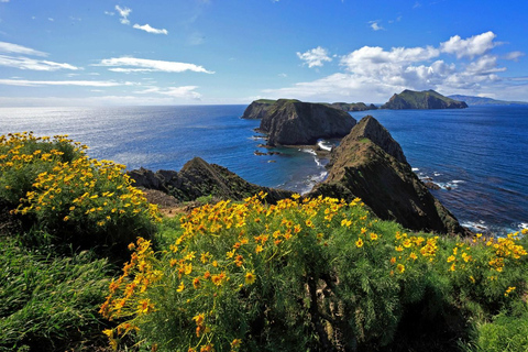 From Orange County: Channel Islands Private Day Tour