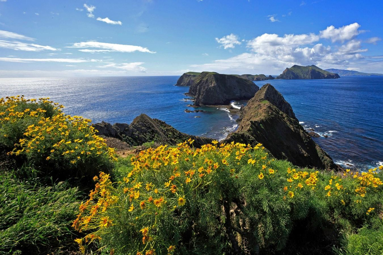 From Orange County: Channel Islands Private Day Tour