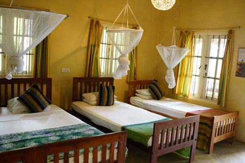 Kandy: Jungle 5 Day Yoga & Nature Retreat 5 Day Yoga & Nature Retreat - Double-sharing