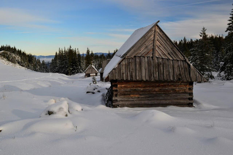 Kraków: Tatra Mountains Guided Hike with Hotel Pickup Tatra Mountains Guided Hike with Hotel Pickup