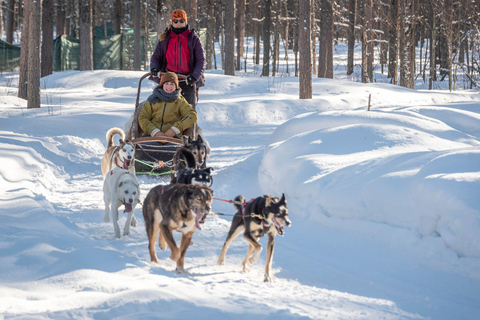 Levi: 2-Day Lapland Forest Cabin Stay with Safaris