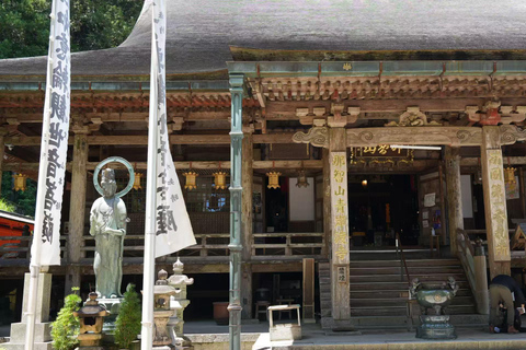 Kumano Kodo & Kumano Sanzan One-Day Tour from Osaka