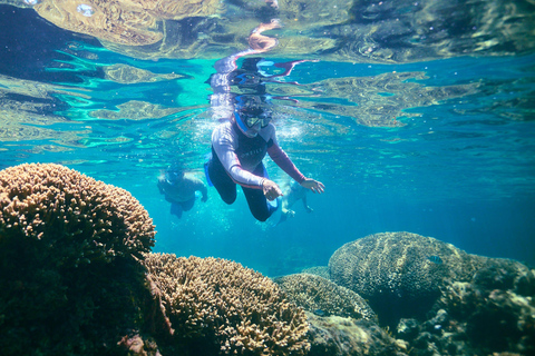 Rottnest Island: Guided Snorkeling Boat Tour with Gear