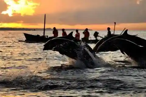 Bali: 3-Day North Bali Tour with Dolphin Watching