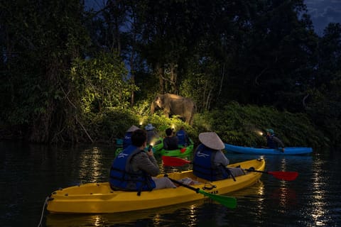 Phuket: Twilight Elephant Kayak & Mahout Dinner