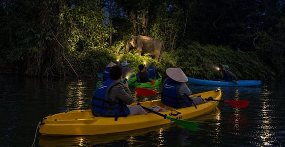 Phuket: Twilight Elephant Kayak & Mahout Dinner