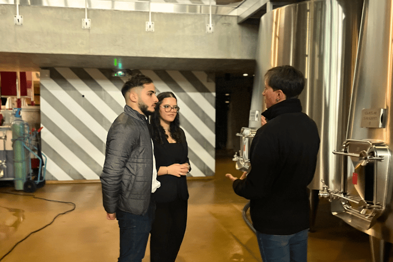 Bordeaux : Unforgettable Saint Emilion Half Day Wine Tour