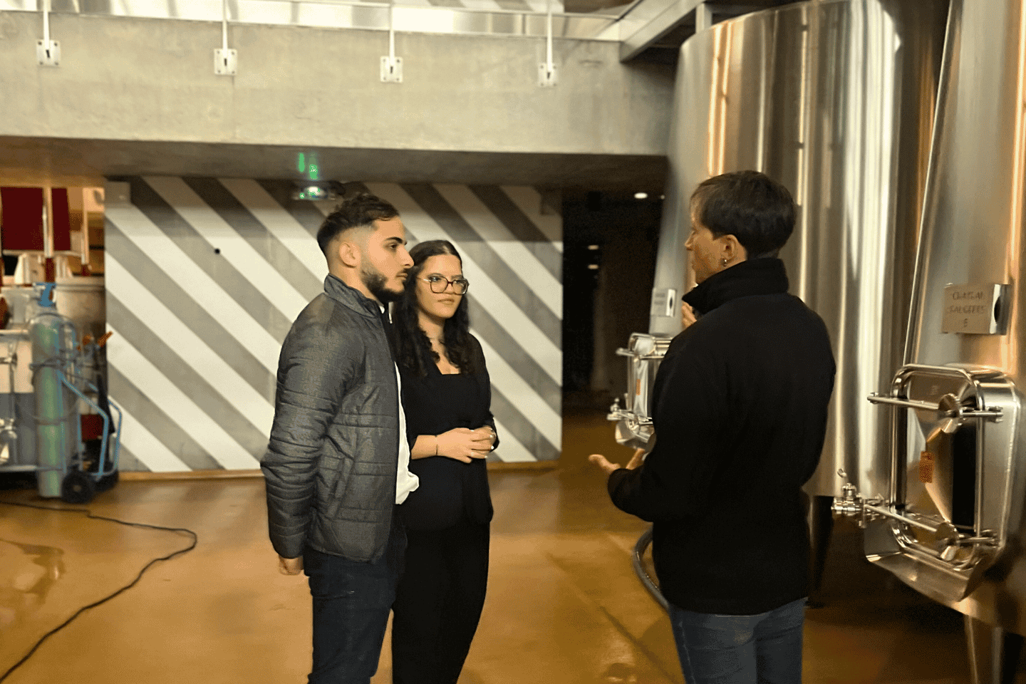 Bordeaux : Unforgettable Saint Emilion Half Day Wine Tour