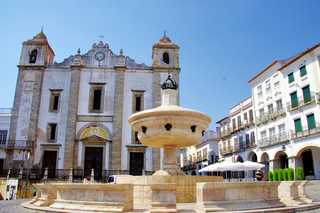 Da Lisbona: Tour del vino e del patrimonio di Évora