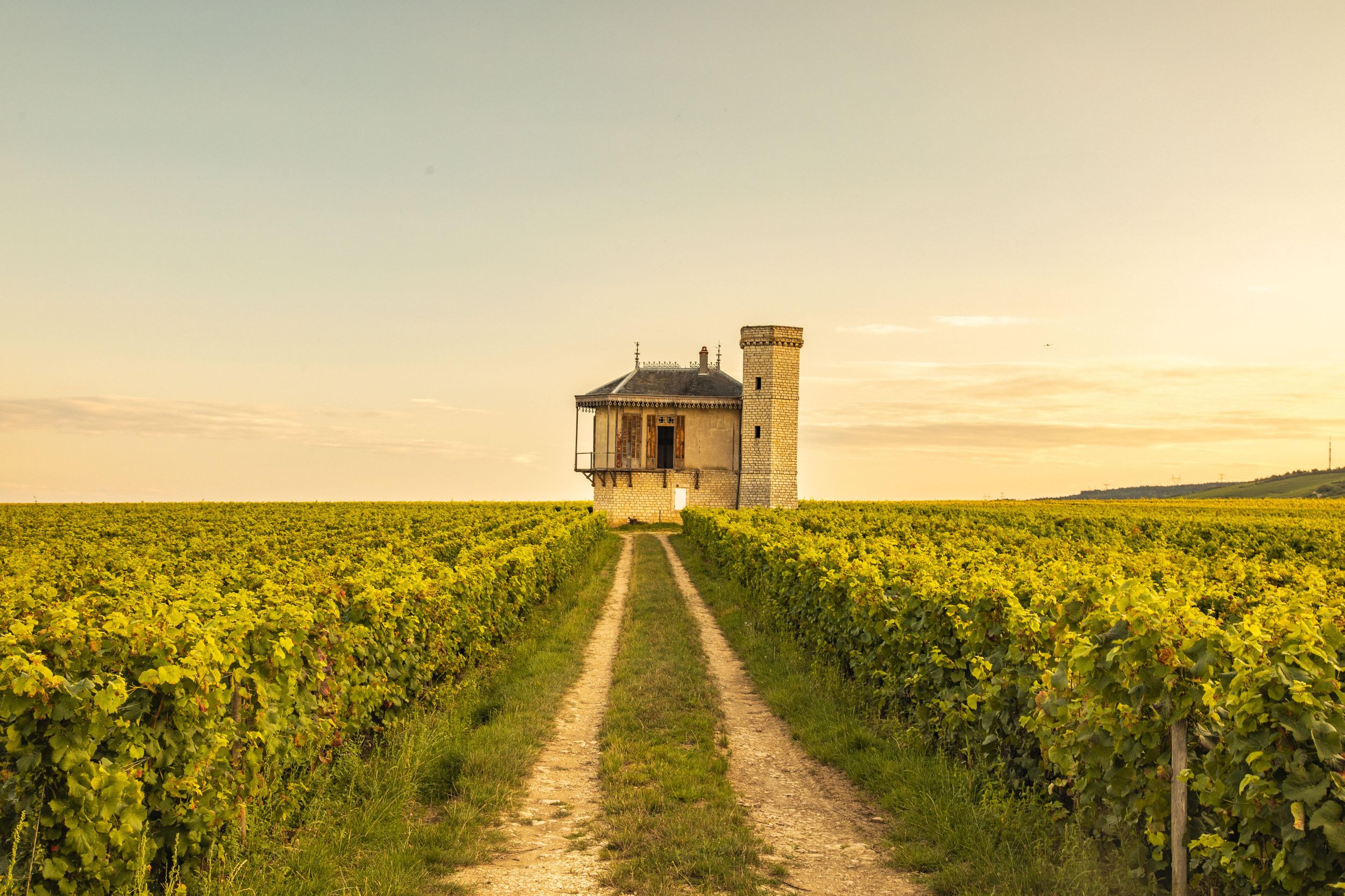 Luxuriöse private Weintour in Burgund