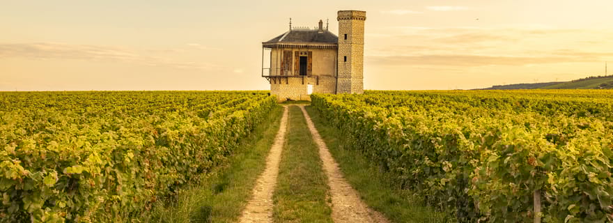 Visite œnologique privée de luxe en Bourgogne