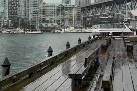 Vancouver City Tour+Stanley Park+Granville Island+China+Gas