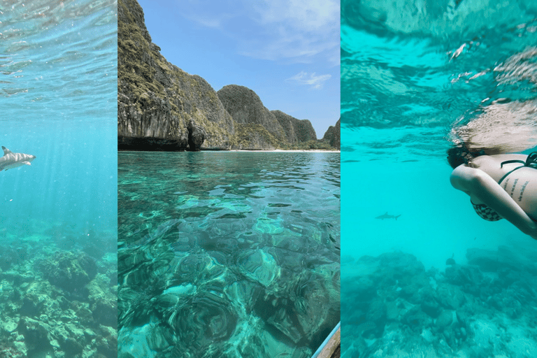 Phi Phi Islands: Shark Snorkeling Phi Phi Islands: PRIVATE VIP Shark Snorkeling - 4h