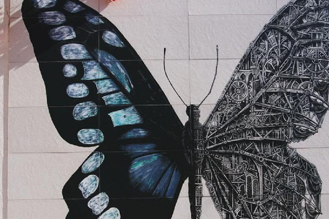 Djerba island: Pottery, jews Synagogue & Djerbahood Graffiti