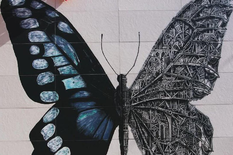 Djerba island: Pottery, jews Synagogue & Djerbahood Graffiti