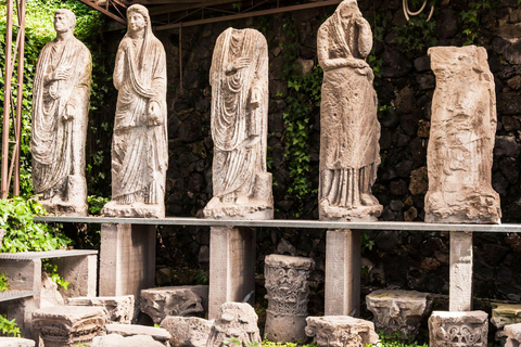 Pompeii: Discover full city &amp; villas Entry ticketPompeii: Skip-the-Line Express Entry ticket