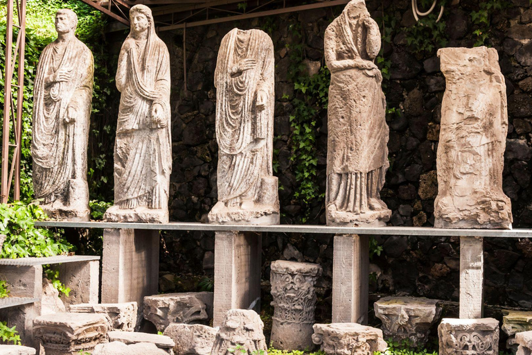 Pompeii: Discover full city &amp; villas Entry ticketPompeii: Skip-the-Line Express Entry ticket