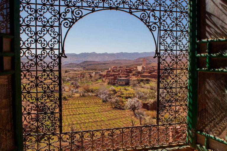 Marrakech : Ait Ben Haddou & Telouat Valley Private Day Trip