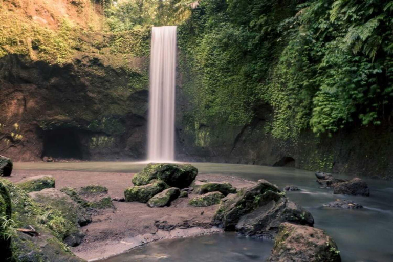 Ubud: Watervallen, Watertempel &amp; Rijstterrassen privétourPrivétour zonder entree Tikets