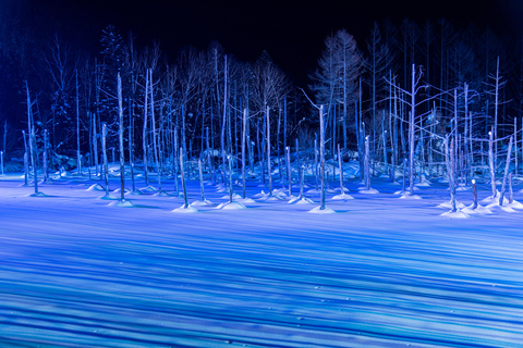 Sapporo: Hokkaido Biei Best 5 Photo Spots Day Tour Shared Tour, Meet at Odori Station