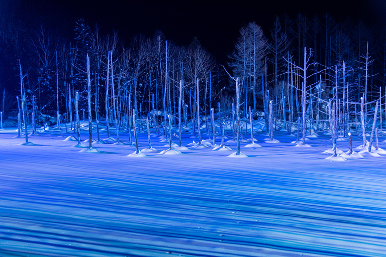 Sapporo: Hokkaido Biei Best 5 Photo Spots Day Tour Shared Tour, Meet at Odori Station