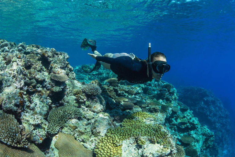 Hurghada: Excursión en barco a la Casa de los Delfines con snorkel