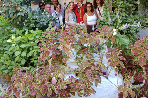 Córdoba Courtyards, Jewish Quarter and Synagogue Sightseeing Tour Cordoba's Courtyards, Jewish Quarter and Synagogue Sightseeing Tour