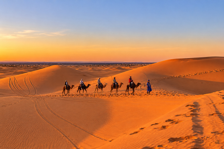From Marrakech: 3-Day Tour To Merzouga Desert & Luxury Camp. From Marrakech: Shared 3-Day Tour & Luxury Camp.