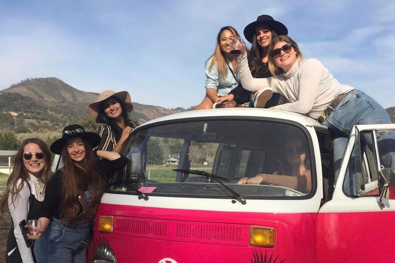 Tour per piccoli gruppi nella regione del vino su un autobus VW d&#039;epocaTour della regione vinicola per piccoli gruppi sull&#039;autobus VW vintage