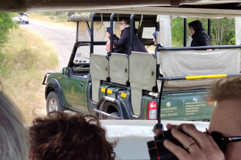 Von Johannesburg aus: 3-tägige Krüger-Nationalpark-Safari