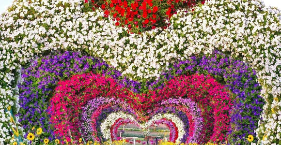 Dubai Miracle Garden & Global Village Tour With 3 Options