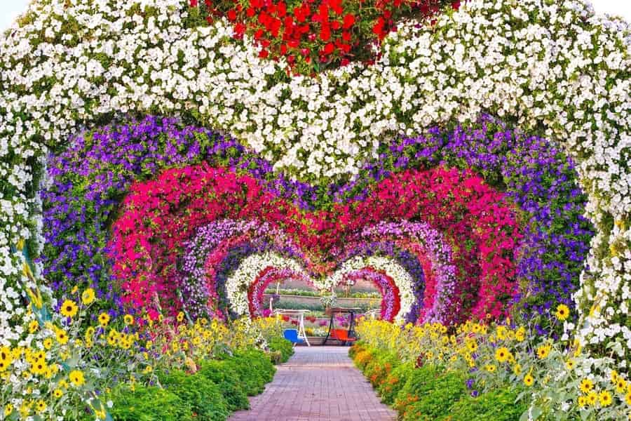 Dubai Miracle Garden & Global Village Tour mit 3 Optionen. Foto: GetYourGuide