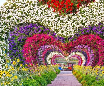 Dubai: Miracle Garden and Global Village Entry with Transfer