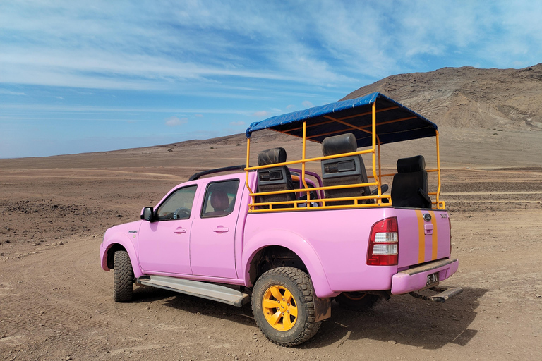 Sal: Wycieczka po wyspie z offroadowym akcentem i kreatywnymi zdjęciami