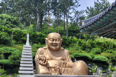 Busan: Private Shore Excursion with Licensed Local Guide