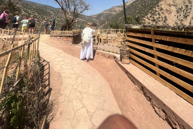 Agadir: High Atlas Mountains, Goats on Trees & Garden Tour