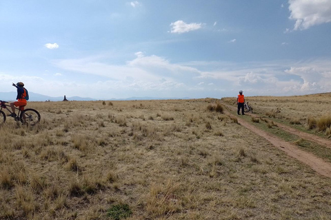 Puno: Sillustani Tombs, Bike Tour - History and Nature