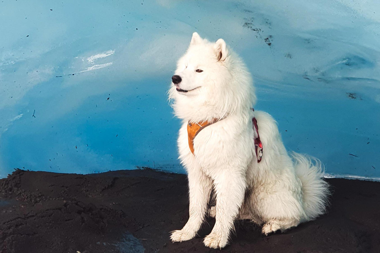 Reykjavik/Sólheimajökull: Caminhada na geleira e escalada no geloCaminhada na geleira e escalada no gelo – encontro em Solheimajokull