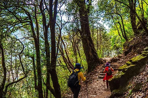 Pokhara: Day Hike to Australian Camp
